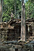 Angkor - ruins of Beng Mealea